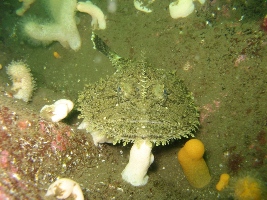 Abbs August '09 008.jpg